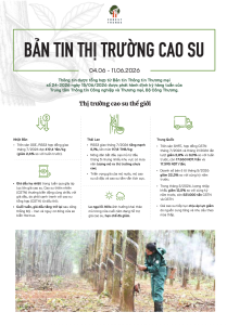 Bản tin thị trường cao su (4-11/6/2026)