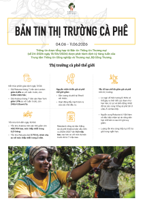 Bản tin thị trường cà phê (4-11/6/2026)