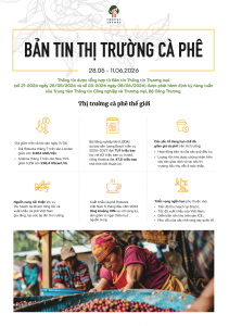 Bản tin thị trường cà phê (28/5-11/6/2026)