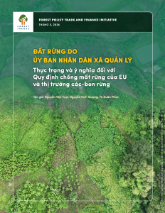 Đất rừng do UBND xã quản lý: Thực trạng và ý nghĩa đối với EUDR và thị trường các-bon rừng