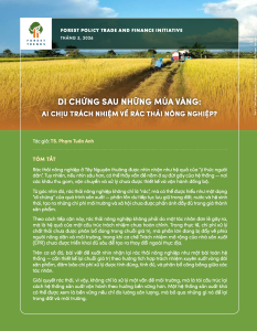 Di chứng sau những mùa vàng: Ai chịu trách nhiệm về rác thải nông nghiệp