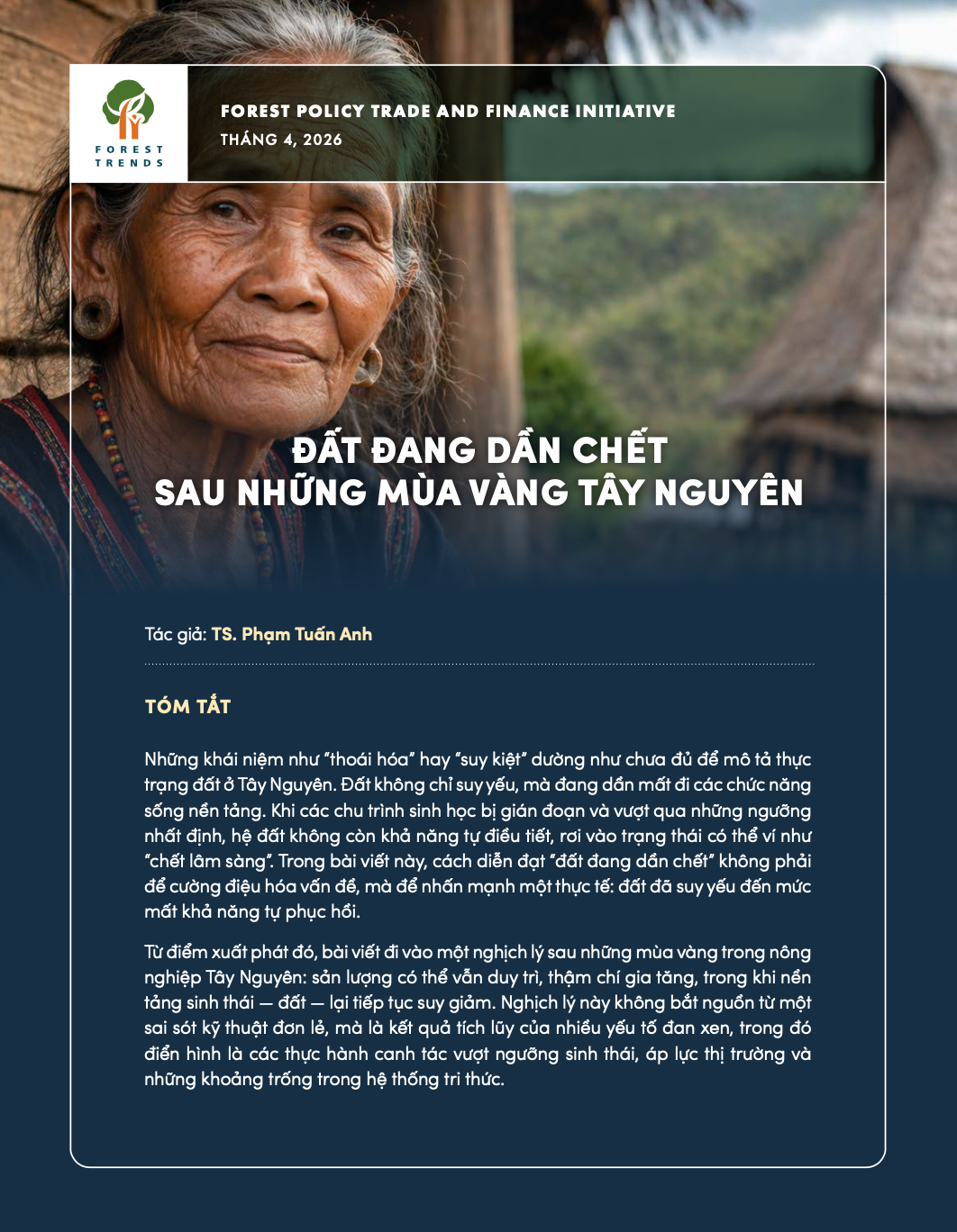 Đất đang dần chết sau những mùa vàng Tây Nguyên