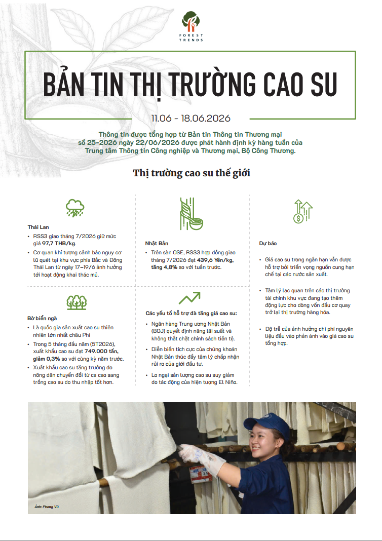 Bản tin thị trường cao su (11-18/06/2026)
