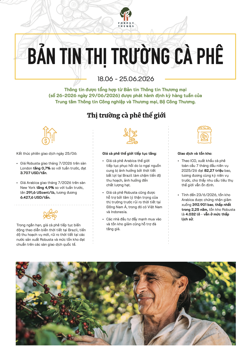 Bản tin thị trường cà phê (18-25/6/2026)