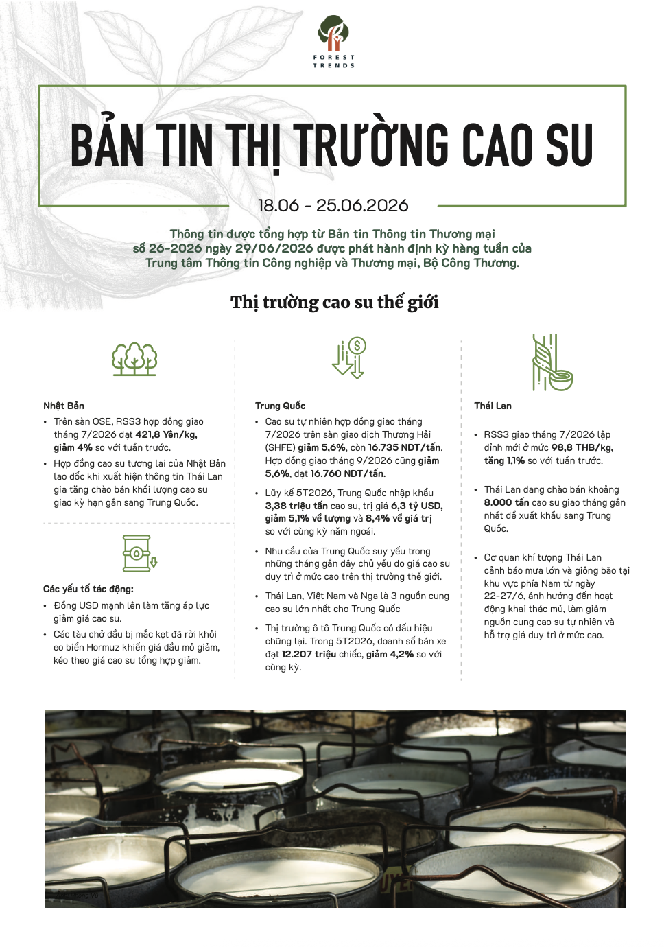 Bản tin thị trường cao su (18-25/6/2026)