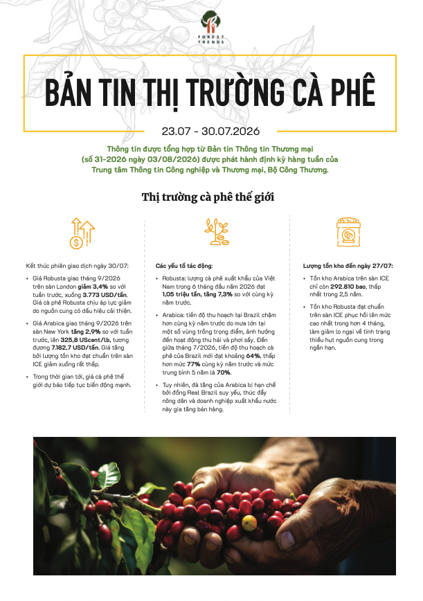Bản tin thị trường cà phê (23/07-30/07/2026)