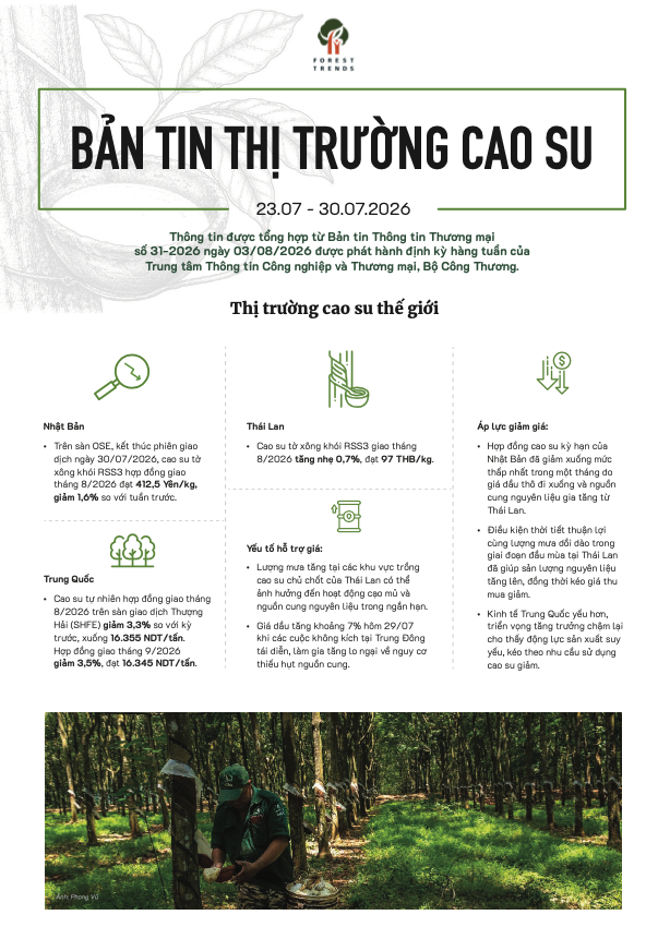 Bản tin thị trường cao su (23/07-30/07/2026)