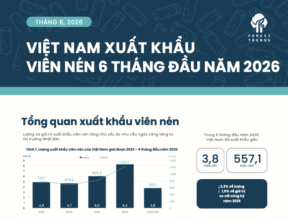 Infographic Việt Nam xuất khẩu viên nén 6 tháng đầu năm 2026