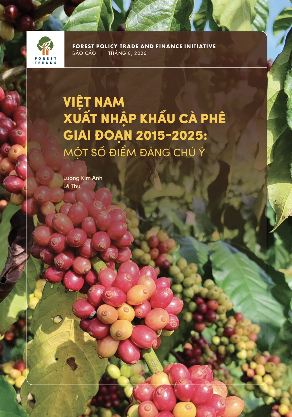 Việt Nam xuất nhập khẩu cà phê giai đoạn 2015-2025: Một số điểm đáng chú ý