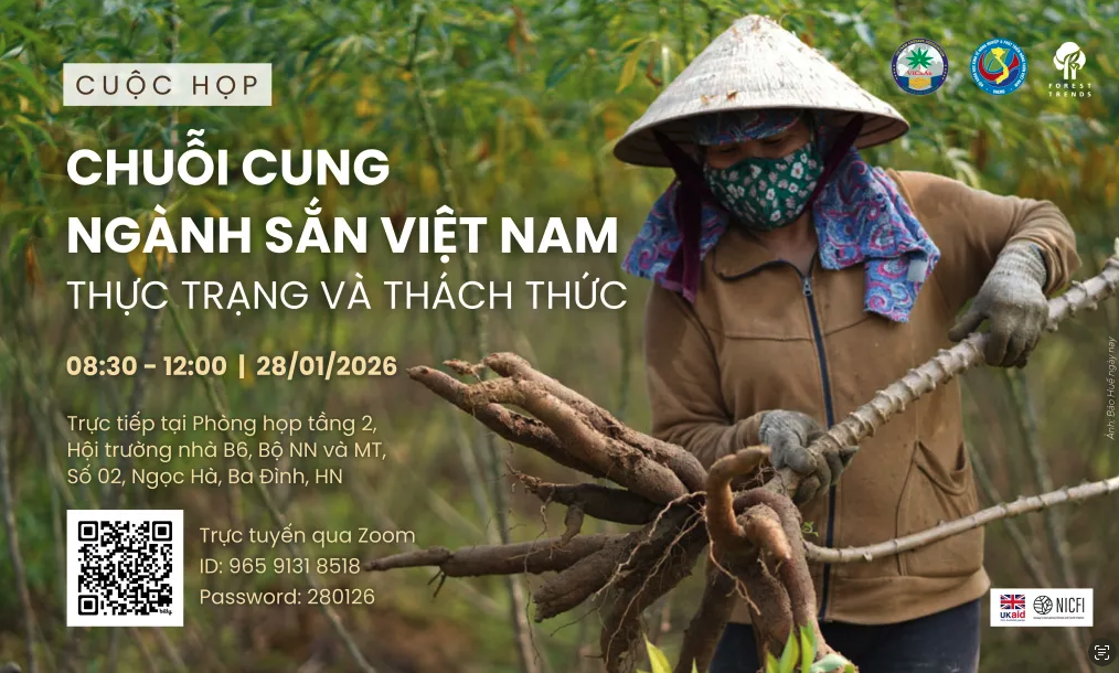 Vietnam's Cassava Industry Supply Chain: Current Situation and Challenges