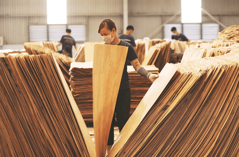 Chuyển dịch nhập khẩu gỗ sang các nguồn cung hợp pháp