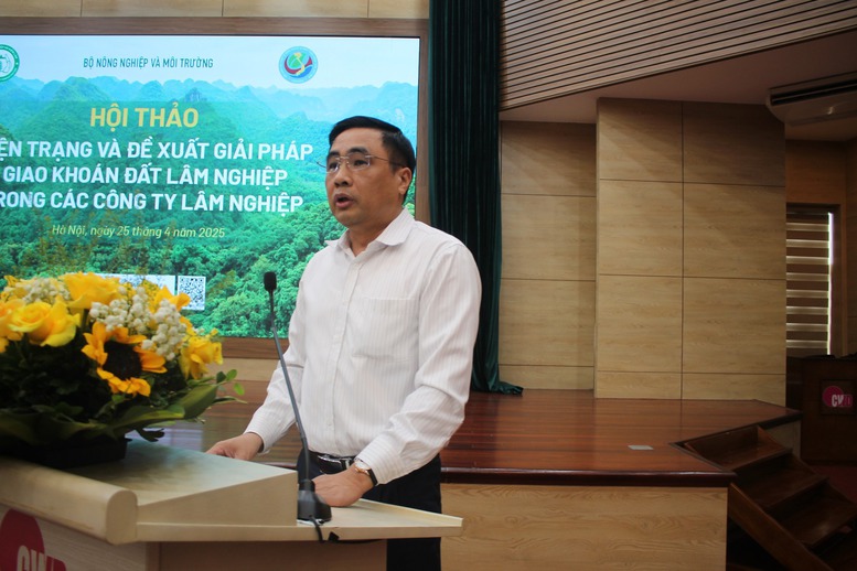 Giao khoán đất lâm nghiệp: Nhiều gợi ý từ thực tiễn- Ảnh 2.