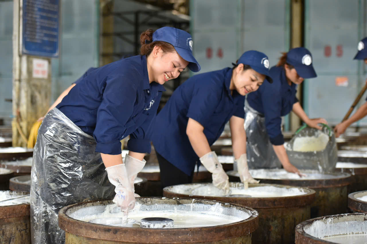 Việt Nam xuất khẩu cao su sang EU: Thực trạng và khả năng đáp ứng EUDR
