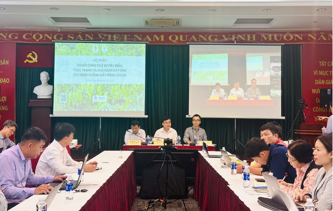 Hội thảo về chuỗi cung cao su tiểu điền, với sự tham gia của các đại diện từ Hiệp hội Cao su Việt Nam, cơ quan chính phủ và các doanh nghiệp, diễn ra tại TP Hồ Chí Minh.