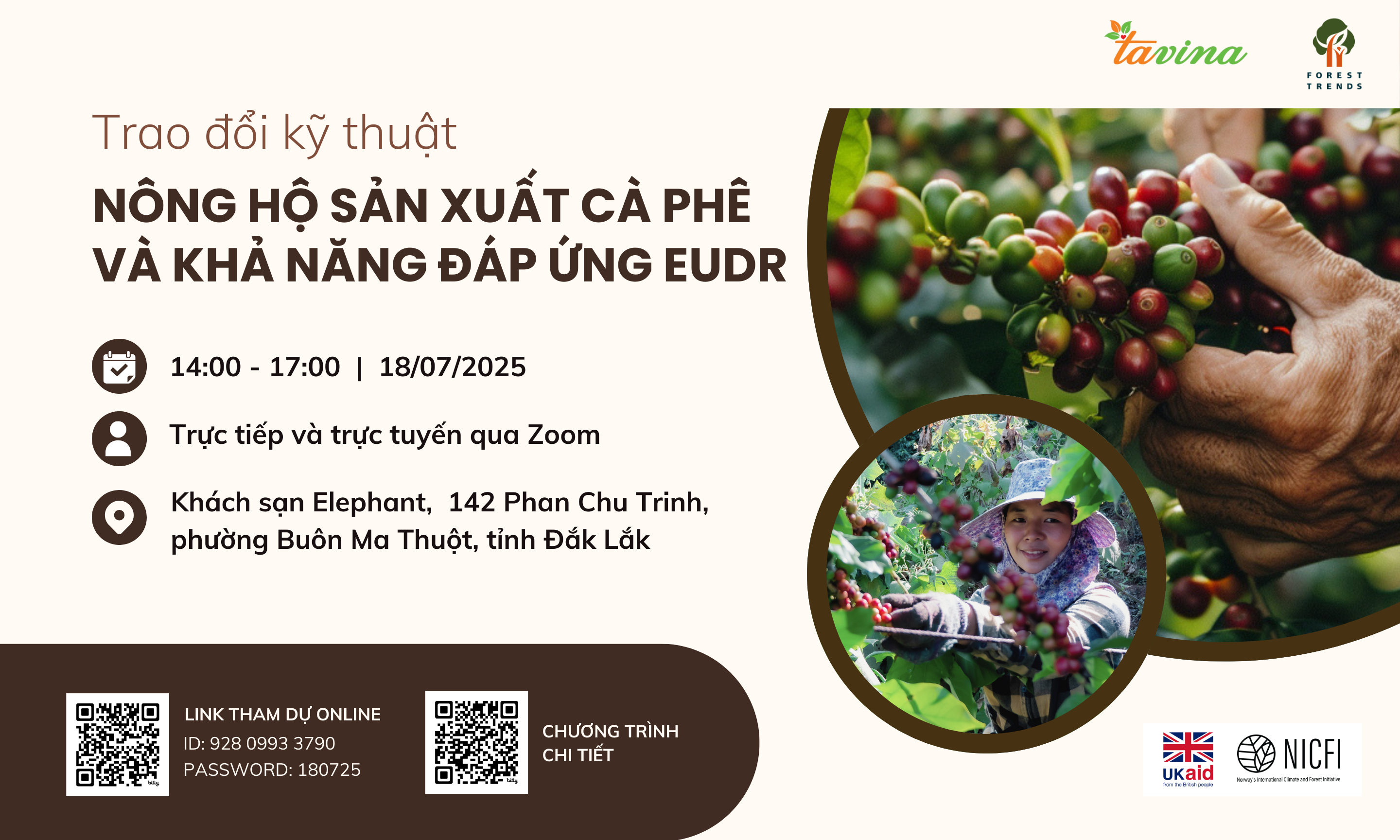 Nông hộ cà phê Việt Nam trước ngưỡng cửa EUDR: Thách thức – cơ hội và vai trò dẫn dắt từ chuỗi cung ứng