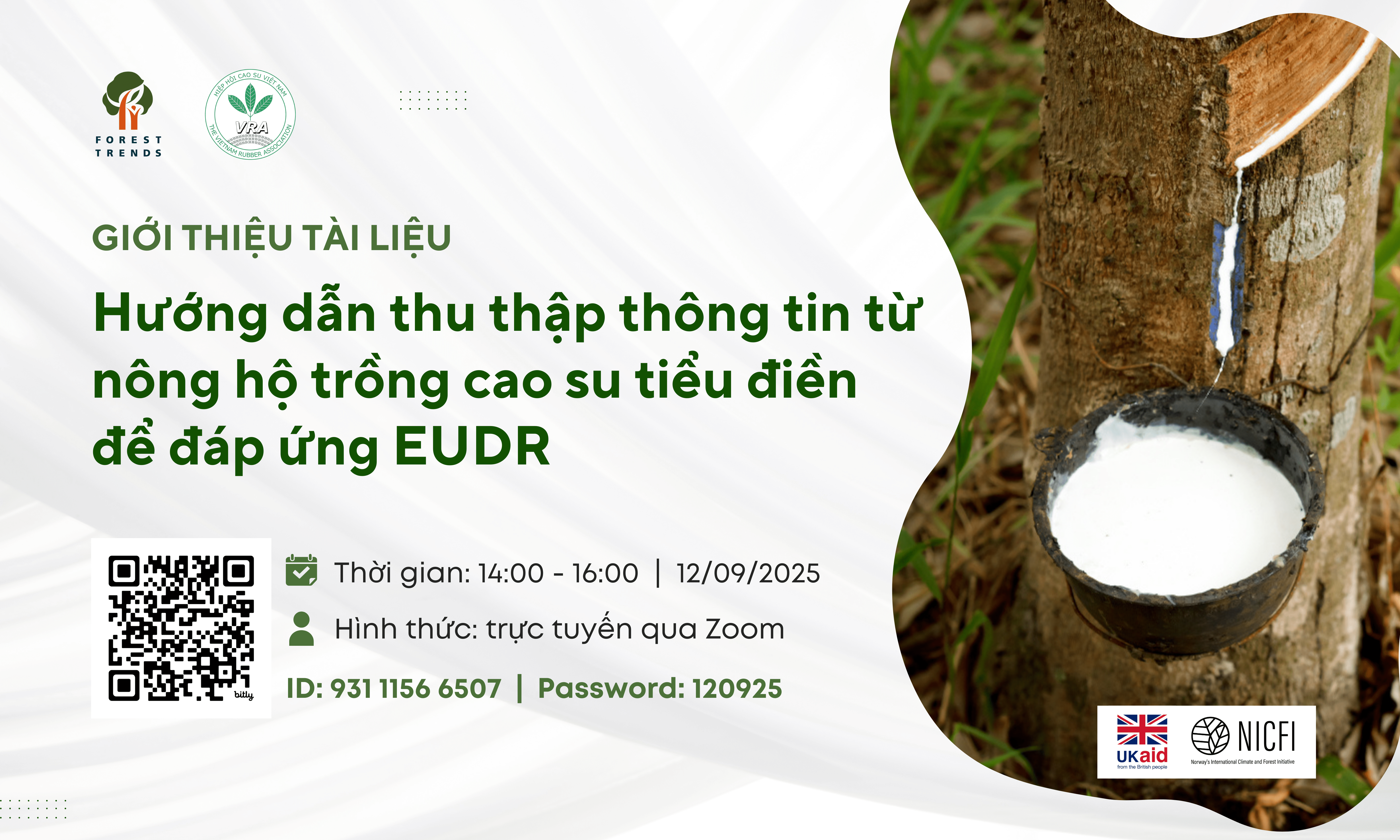 Giới thiệu tài liệu: Hướng dẫn thu thập thông tin từ nông hộ trồng cao su tiểu điền để đáp ứng EUDR