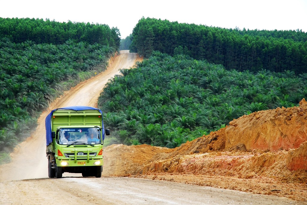 A green truck driving on a dirt road surrounded by palm trees and deforested land.