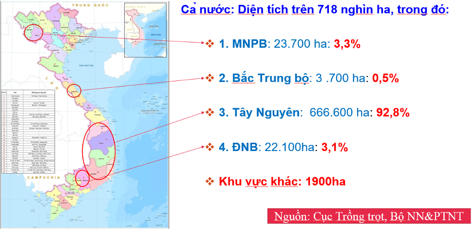 Bản đồ Việt Nam với thông tin về diện tích trồng cà phê, chỉ ra các vùng trồng chính như Tây Nguyên, Bắc Trung Bộ, Đông Nam Bộ, và các khu vực khác.