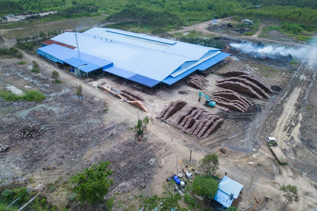 Khu vực nhà xưởng chế biến gỗ với các đống gỗ xếp thành hàng, nằm trong một khu đất đã bị khai thác, cận cảnh từ trên cao.