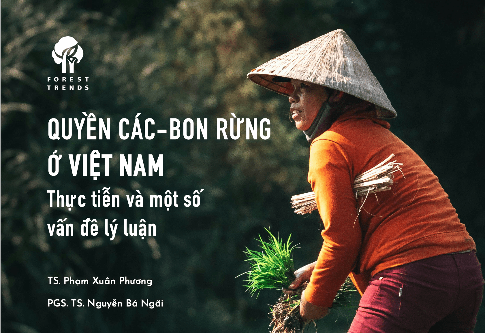 Quyền các-bon rừng ở Việt Nam: Thực tiễn và một số vấn đề lý luận