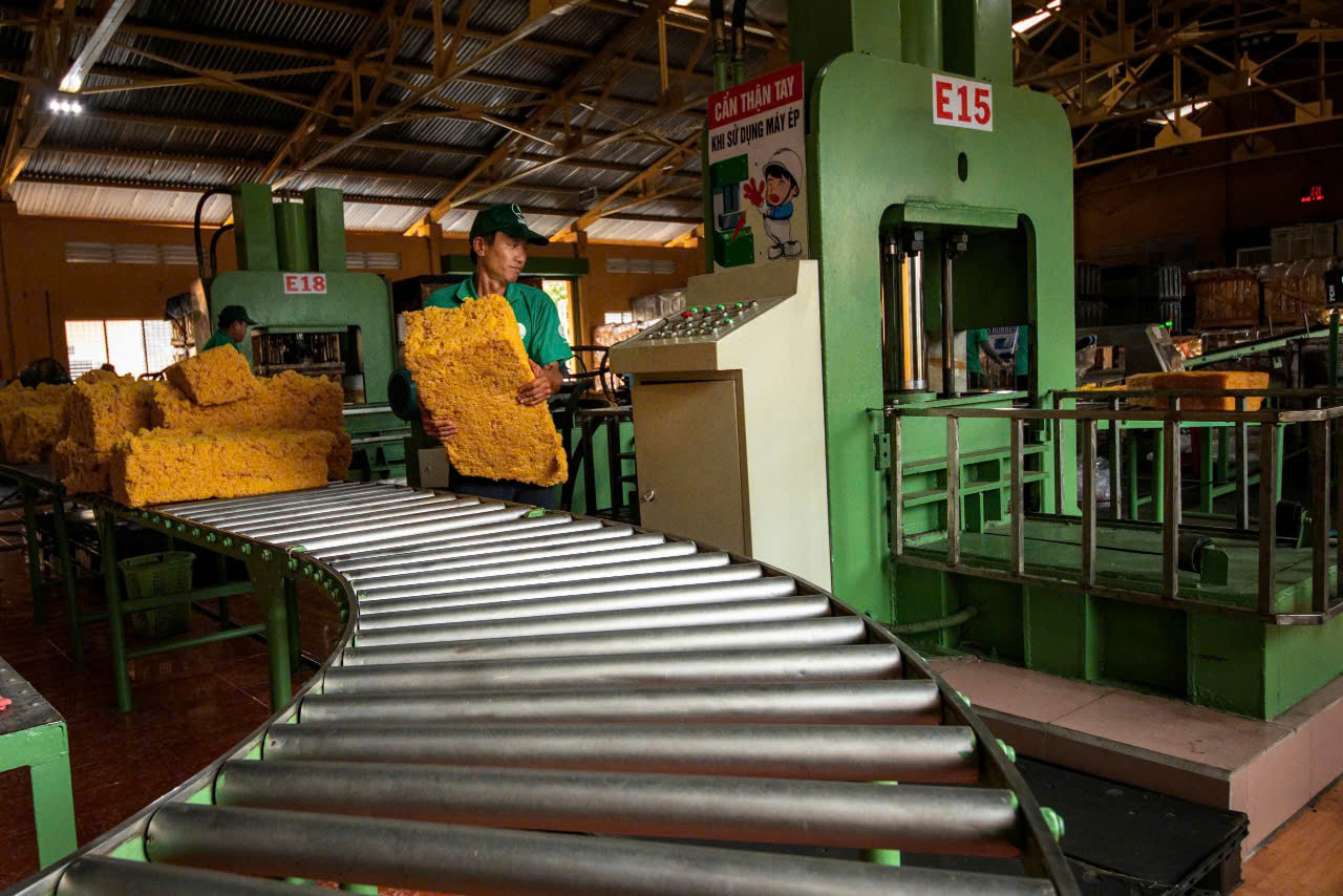 Bản tin thị trường cao su Việt Nam và thế giới (25/6-2/7/2026)