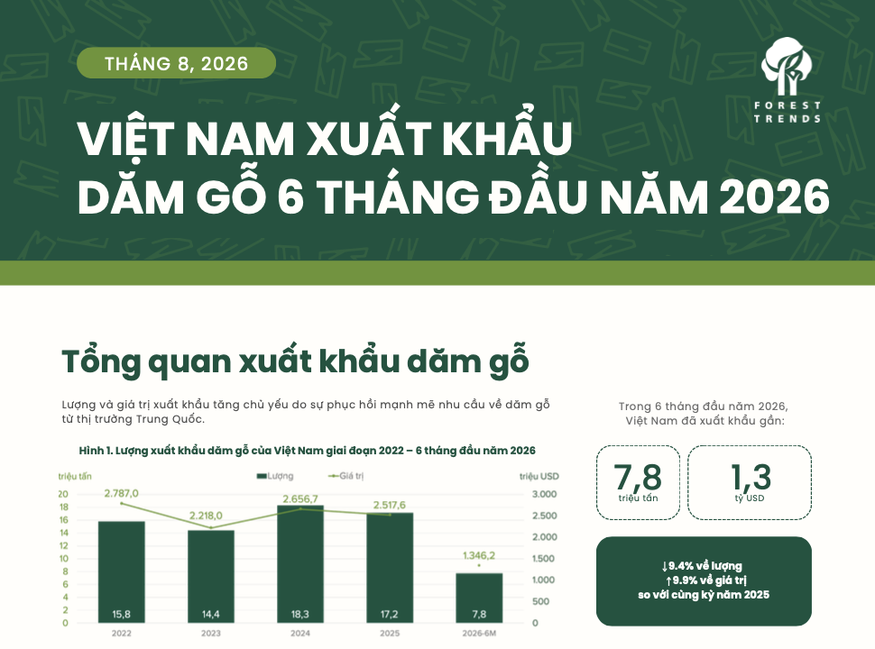 Infographic Việt Nam xuất khẩu dăm gỗ 6 tháng đầu năm 2026