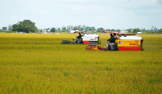 Vietnam News | Việt Nam needs ‘soil guardianship’ model to protect agricultural sustainability