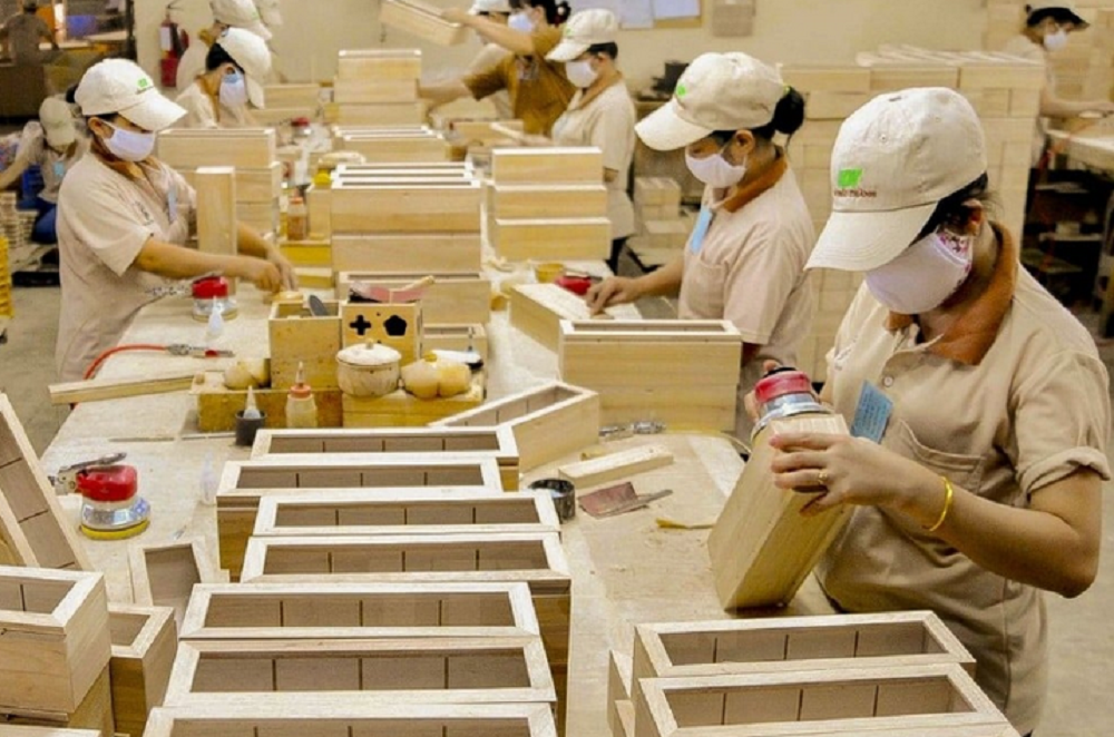 VnEconomy | The United Kingdom develops deforestation-free regulations compatible with EUDR