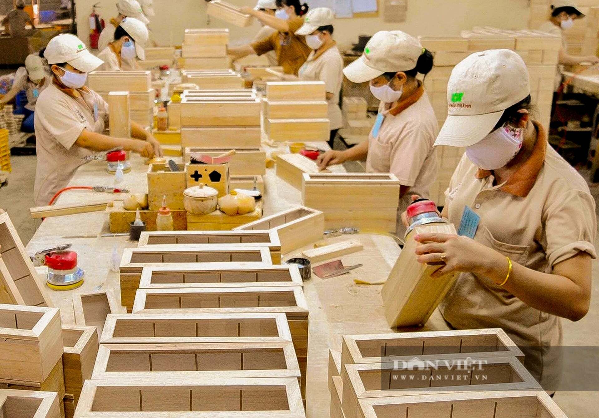 Dân Việt | Là nhà cung ứng lớn về các sản phẩm nông, lâm nghiệp, vì sao Việt Nam chưa thể vươn lên vị thế dẫn dắt thị trường?