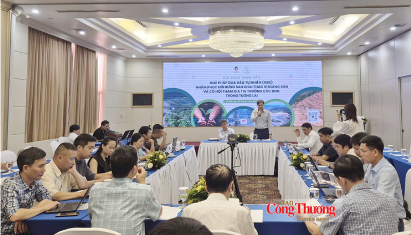 Công thương | Phục hồi rừng sau khai thác: Cần cách tiếp cận dài hạn
