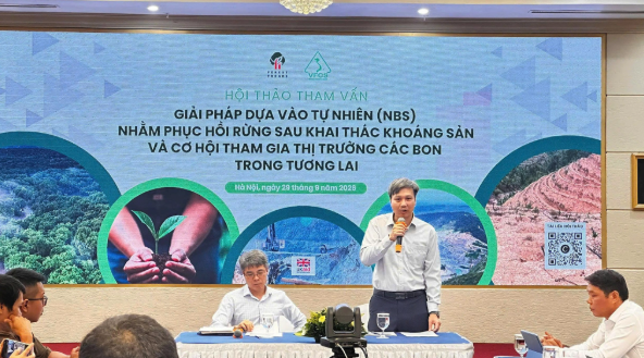 Thị trường Tài chính Tiền tệ | Phục hồi rừng sau khai khoáng: Mở dòng tiền mới từ thị trường carbon