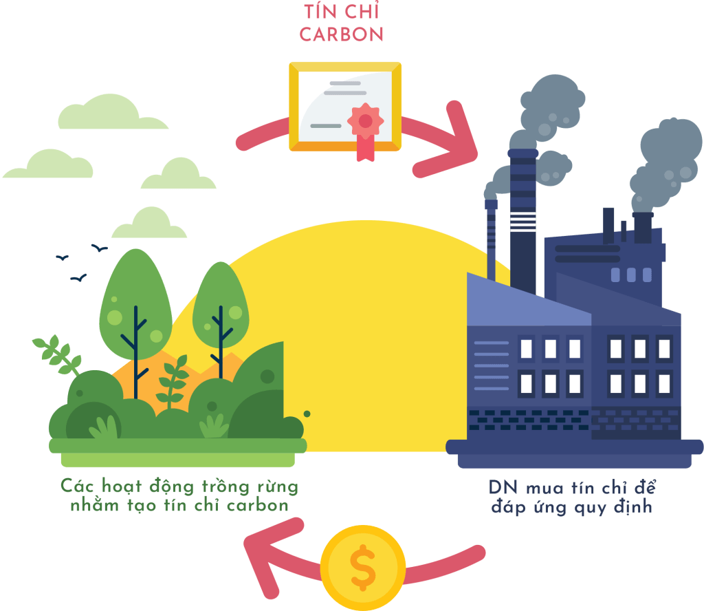 Tín chỉ carbon - cây xanh, mặt trời, nhà máy phát thải