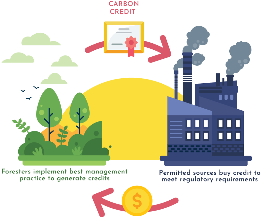 Carbon credits - green trees, sun, emitting factory